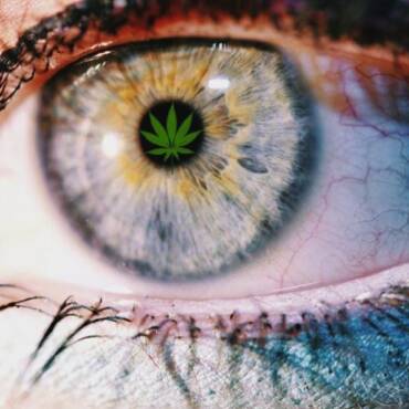 Marijuana Use and Vision