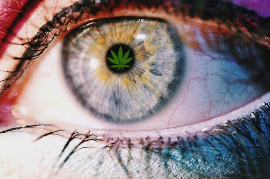 Marijuana Use and Vision